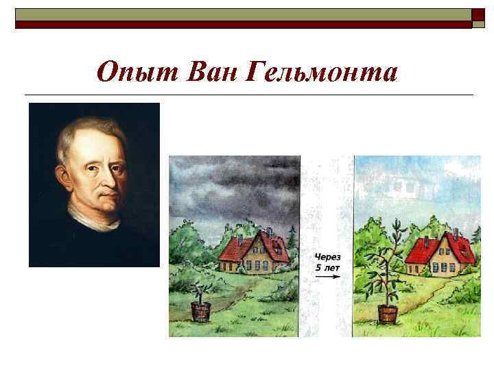 Опыт Ван Гельмонта 