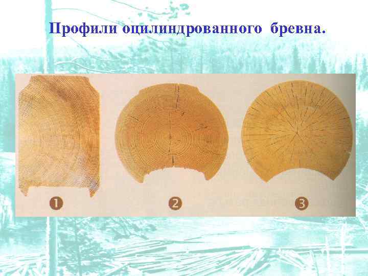 Профили оцилиндрованного бревна. 