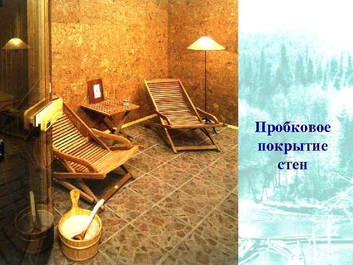Пробковое покрытие стен 