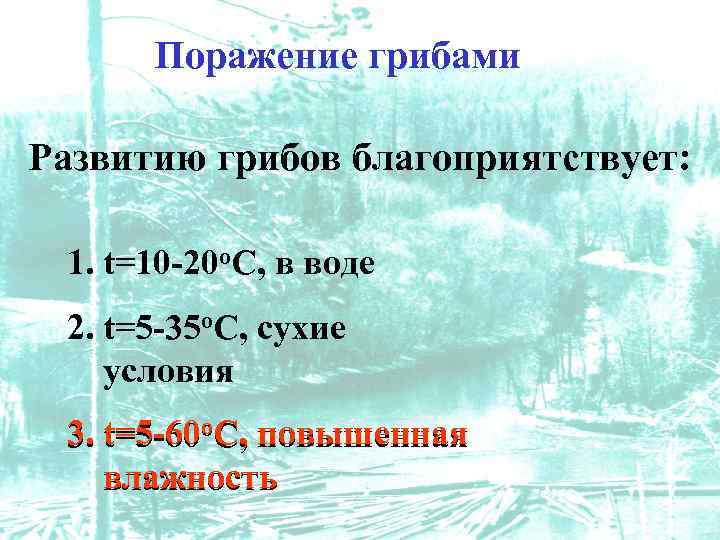 Поражение грибами Развитию грибов благоприятствует: 1. t=10 -20 о. С, в воде 2. t=5