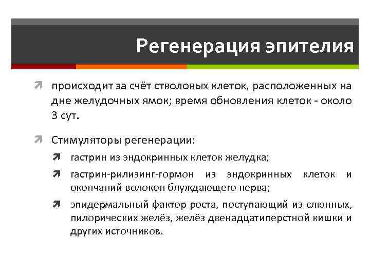 Регенерация эпителия происходит за счёт стволовых клеток, расположенных на дне желудочных ямок; время обновления