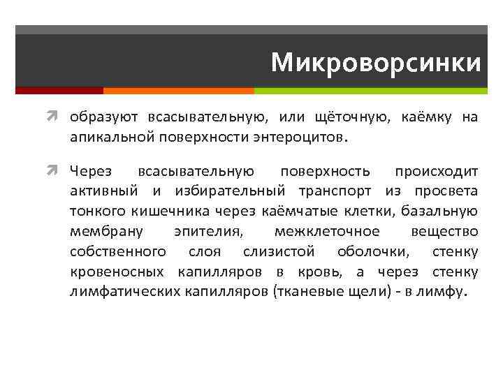 Микроворсинки образуют всасывательную, или щёточную, каёмку на апикальной поверхности энтероцитов. Через всасывательную поверхность происходит