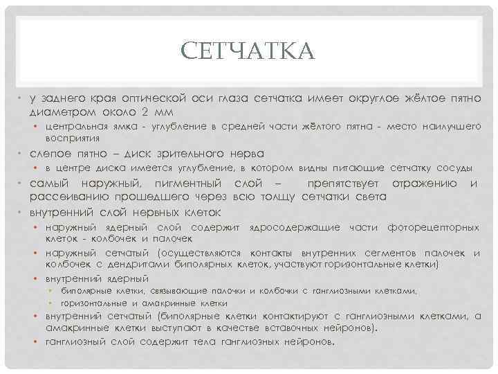 СЕТЧАТКА • у заднего края оптической оси глаза сетчатка имеет округлое жёлтое пятно диаметром