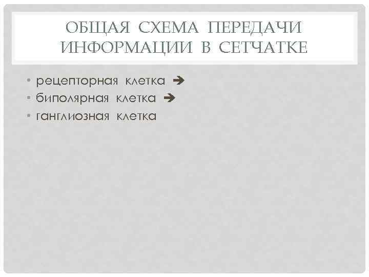 ОБЩАЯ СХЕМА ПЕРЕДАЧИ ИНФОРМАЦИИ В СЕТЧАТКЕ • рецепторная клетка • биполярная клетка • ганглиозная