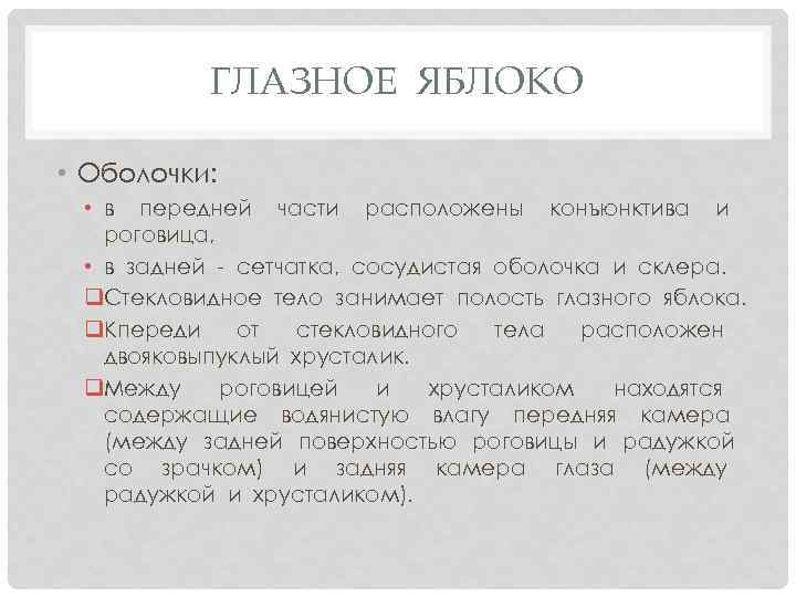 ГЛАЗНОЕ ЯБЛОКО • Оболочки: • в передней части расположены конъюнктива и роговица, • в