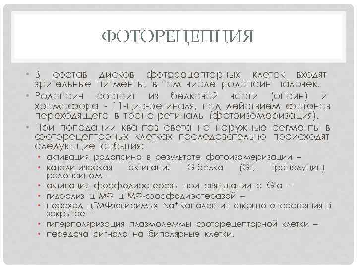 ФОТОРЕЦЕПЦИЯ • В состав дисков фоторецепторных клеток входят зрительные пигменты, в том числе родопсин