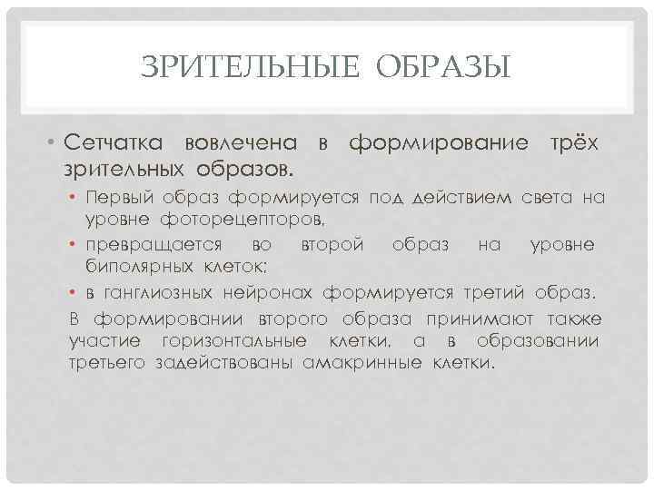 ЗРИТЕЛЬНЫЕ ОБРАЗЫ • Сетчатка вовлечена в формирование трёх зрительных образов. • Первый образ формируется