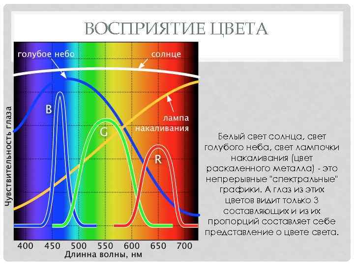 ВОСПРИЯТИЕ ЦВЕТА Белый свет солнца, свет голубого неба, свет лампочки накаливания (цвет раскаленного металла)