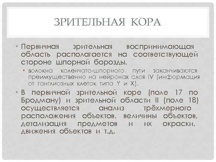 ЗРИТЕЛЬНАЯ КОРА • Первичная зрительная воспринимающая область располагается на соответствующей стороне шпорной борозды. •