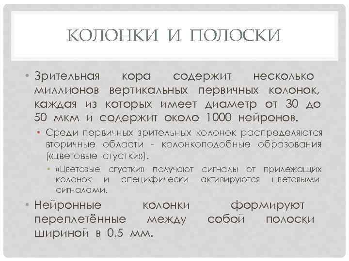 КОЛОНКИ И ПОЛОСКИ • Зрительная кора содержит несколько миллионов вертикальных первичных колонок, каждая из