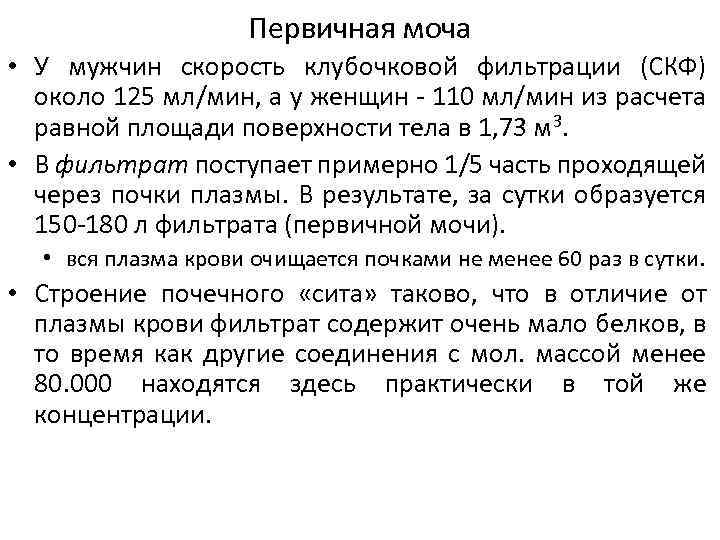 Первичная моча • У мужчин скорость клубочковой фильтрации (СКФ) около 125 мл/мин, а у