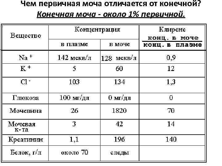 Чем первичная моча отличается от конечной? Конечная моча - около 1% первичной. 