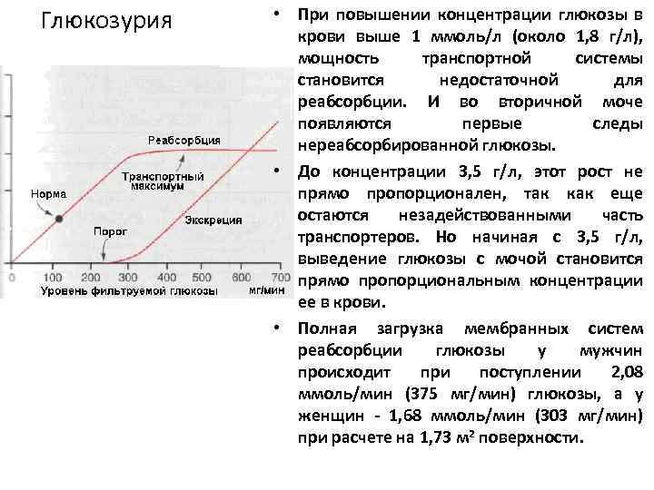 Глюкозурия • При повышении концентрации глюкозы в крови выше 1 ммоль/л (около 1, 8