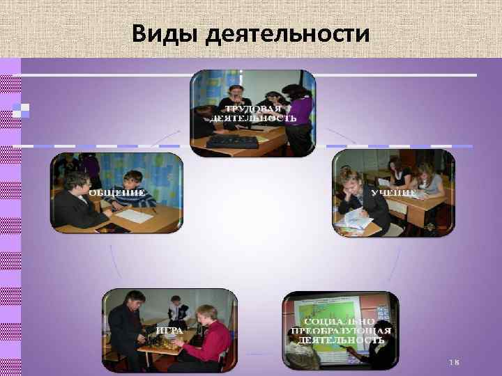 Виды деятельности 