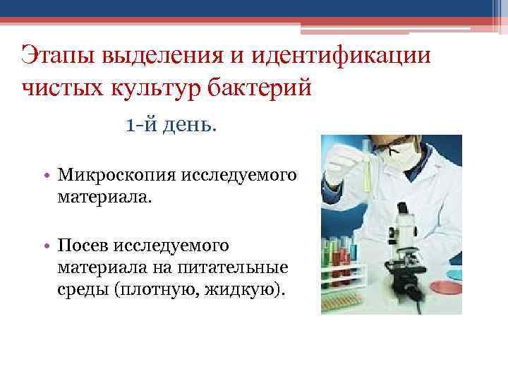 Этапы выделения и идентификации чистых культур бактерий 1 -й день. • Микроскопия исследуемого материала.