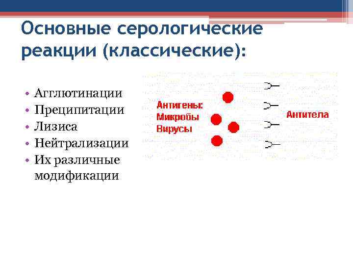 Виды серологических реакций схема - 85 фото