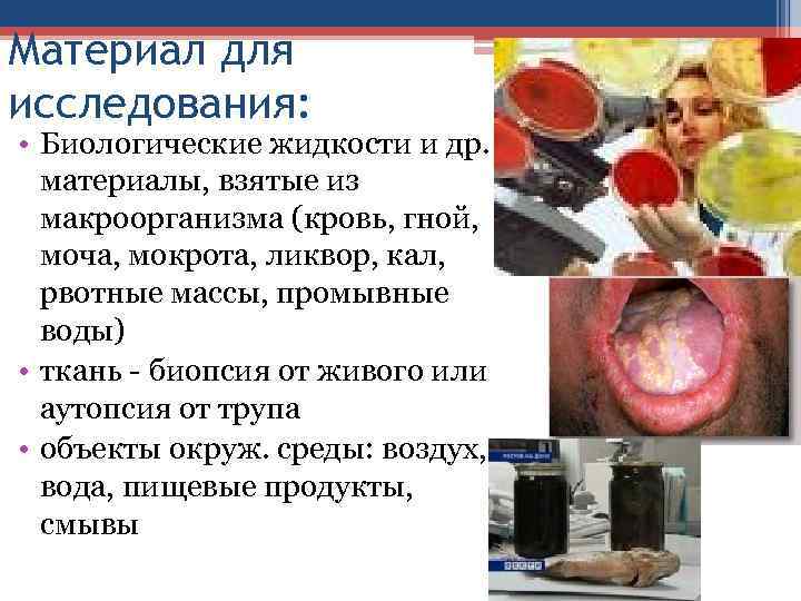 Материал для исследования: • Биологические жидкости и др. материалы, взятые из макроорганизма (кровь, гной,