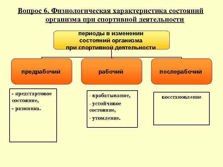 Физиологическая характеристика состояний организма при спортивной деятельности презентация