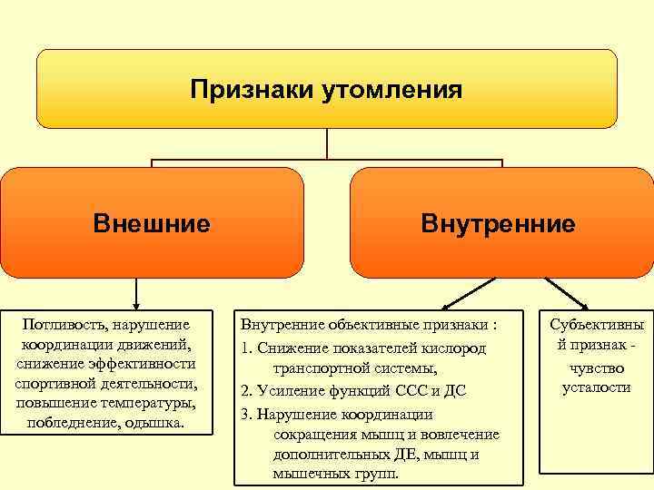 Объективные и субъективные признаки