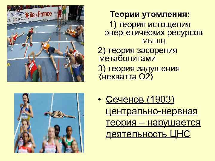   Теории утомления: 1) теория истощения  энергетических ресурсов  мышц 2) теория