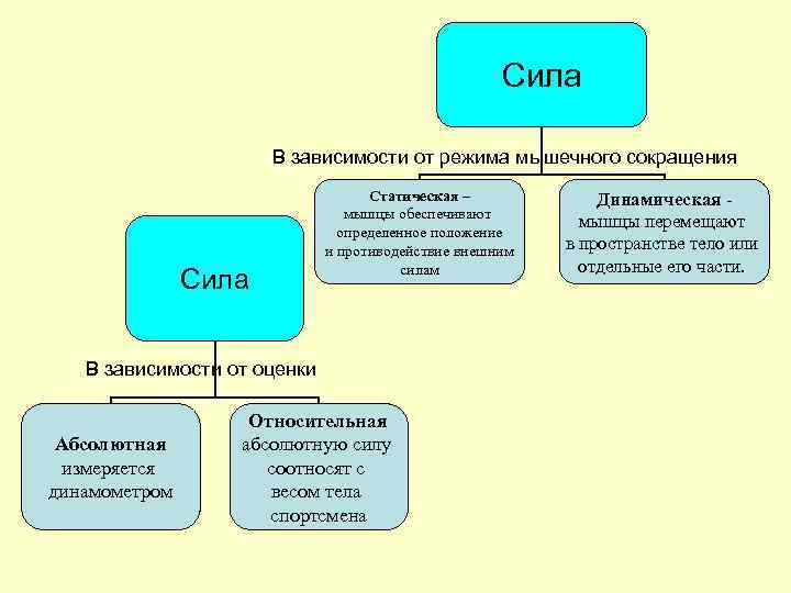      Сила    В зависимости от режима мышечного
