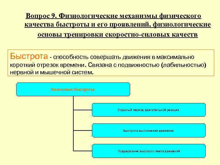 Физиологические персональные данные. Физиологические механизмы развития быстроты. Физиологические основы тренировки скоростно силовых качеств. Физиологические механизмы развития двигательных качеств- быстроты. Физиологический механизм проявления быстроты.