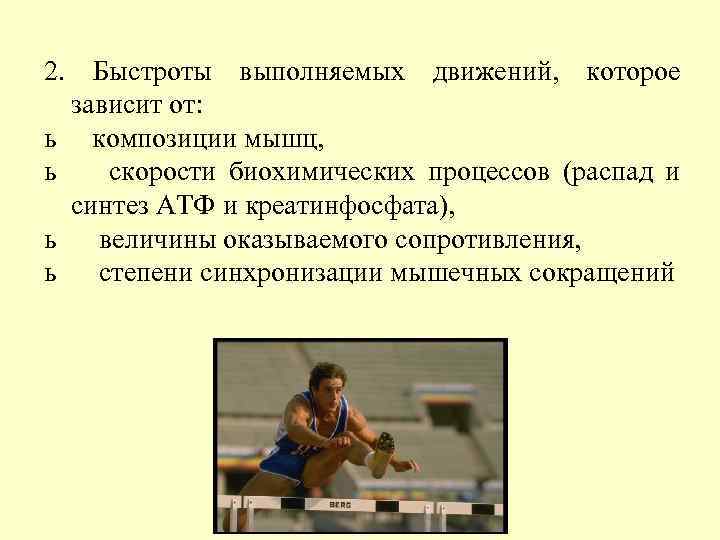 2. Быстроты выполняемых движений, которое зависит от: ь композиции мышц, ь  скорости биохимических