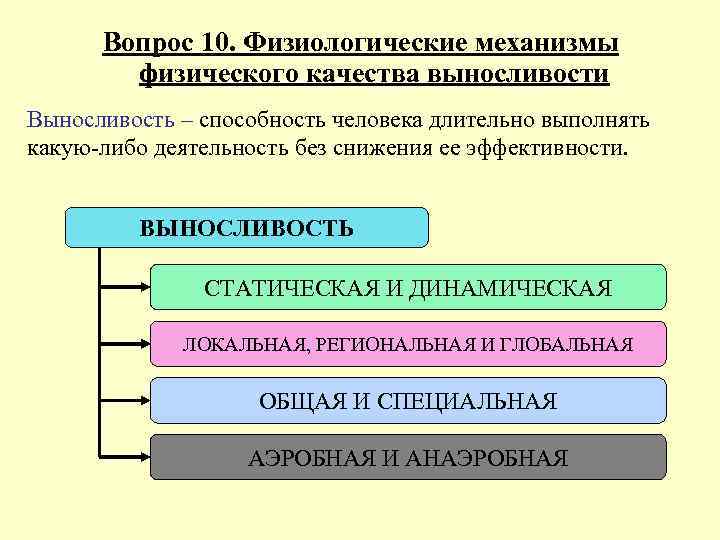 Физические механизмы. Физиологические механизмы формирования физических качеств. Физиологические качества человека. Физиологические основы выносливости. Физиологические основы развития физических качеств.