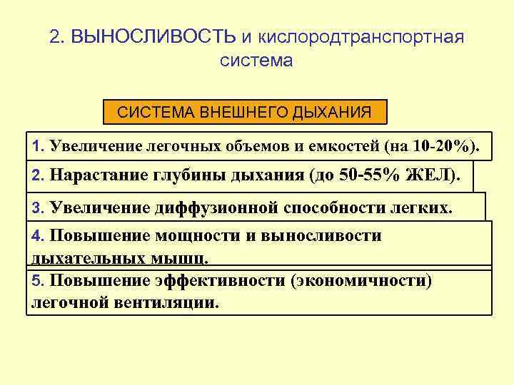  2. ВЫНОСЛИВОСТЬ и кислородтранспортная   система  СИСТЕМА ВНЕШНЕГО ДЫХАНИЯ 1. Увеличение