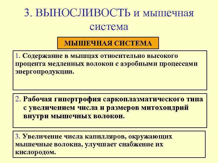  3. ВЫНОСЛИВОСТЬ и мышечная   система   МЫШЕЧНАЯ СИСТЕМА 1. Содержание