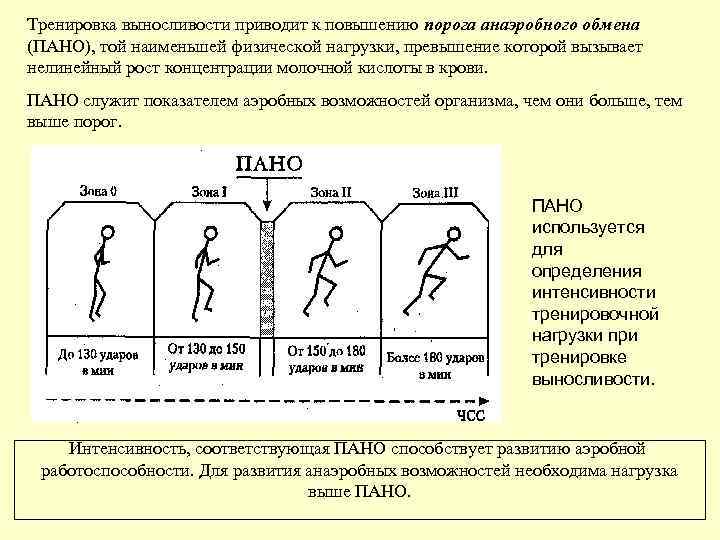 Тренировка выносливости приводит к повышению порога анаэробного обмена (ПАНО), той наименьшей физической нагрузки, превышение
