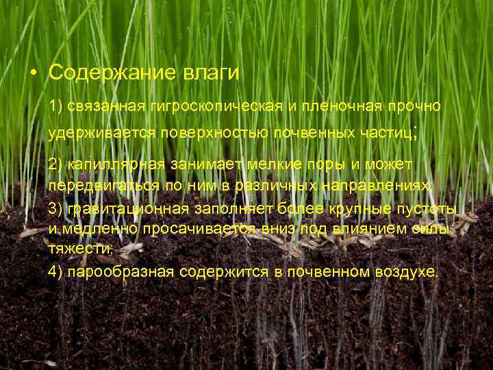  • Содержание влаги 1) связанная гигроскопическая и пленочная прочно удерживается поверхностью почвенных частиц;
