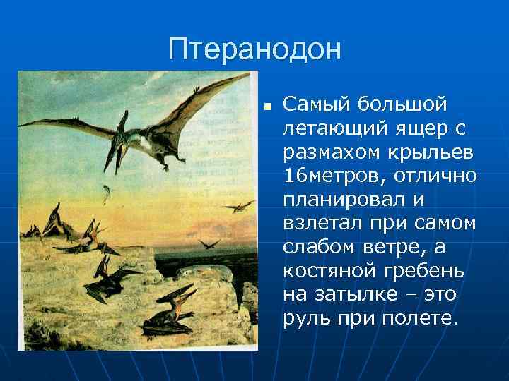 Птеранодон n Самый большой летающий ящер с размахом крыльев 16 метров, отлично планировал и