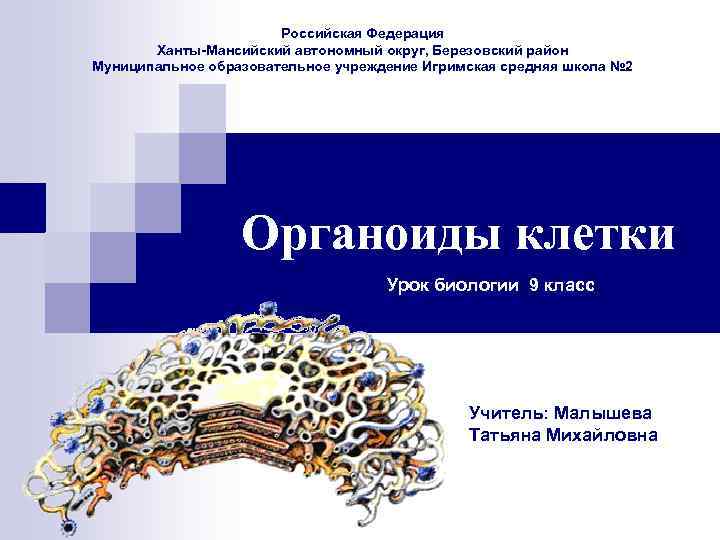 Российская Федерация Ханты-Мансийский автономный округ, Березовский район Муниципальное образовательное учреждение Игримская средняя школа №