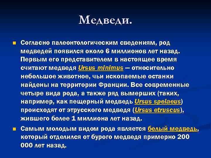 Медведи. n n Согласно палеонтологическим сведениям, род медведей появился около 6 миллионов лет назад.