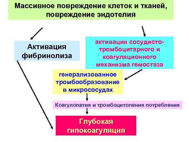 Массивное повреждение клеток и тканей, повреждение эндотелия Активация фибринолиза активация сосудистотромбоцитарного и коагуляционного механизма