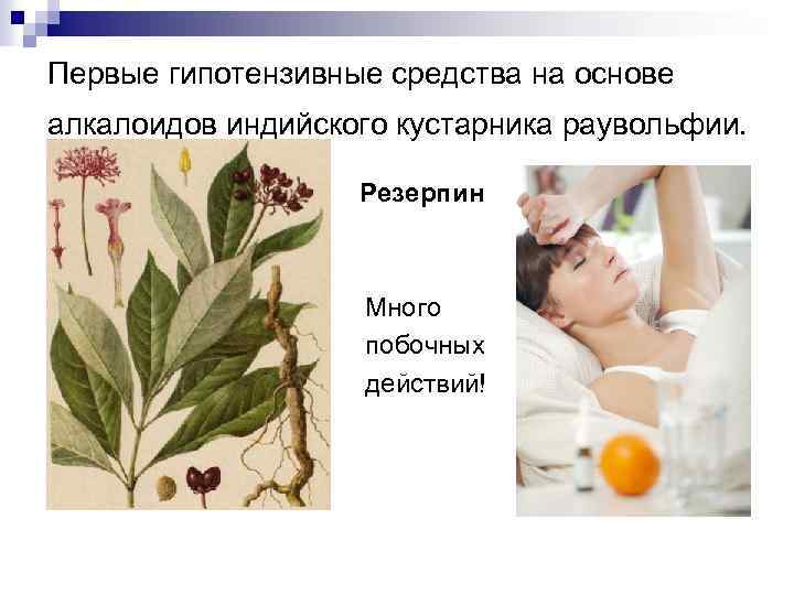 Первые гипотензивные средства на основе алкалоидов индийского кустарника раувольфии. Резерпин Много побочных действий! 