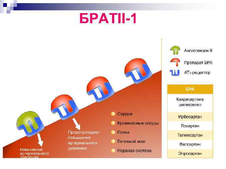 БРАТII-1 