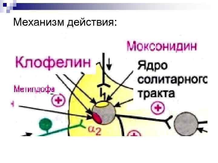 Механизм действия: 