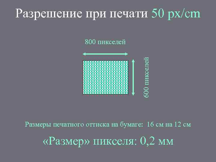 Разрешение при печати 50 px/cm 600 пикселей 800 пикселей Размеры печатного оттиска на бумаге: