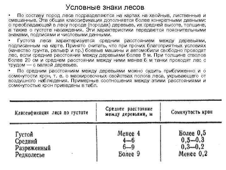 Условные знаки лесов • По составу пород леса подразделяются на картах на хвойные, лиственные