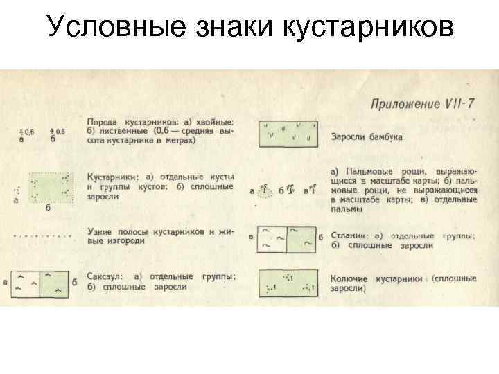Условные знаки кустарников 