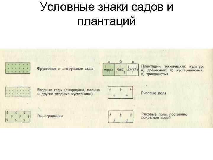 Топографические задачи в картинках с ответами