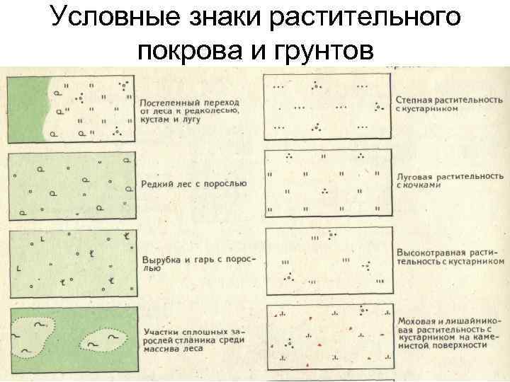 Условные знаки растительного покрова и грунтов 