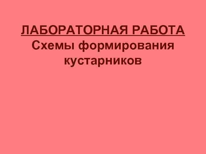 ЛАБОРАТОРНАЯ РАБОТА Схемы формирования кустарников 