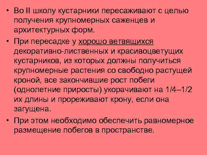  • Во II школу кустарники пересаживают с целью получения крупномерных саженцев и архитектурных