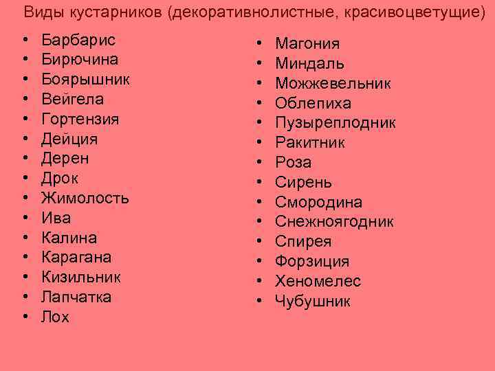 Виды кустарников (декоративнолистные, красивоцветущие) • • • • Барбарис Бирючина Боярышник Вейгела Гортензия Дейция