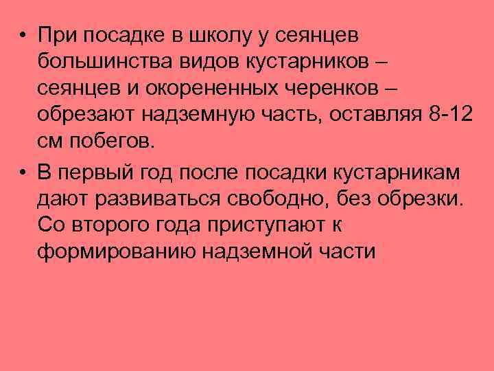  • При посадке в школу у сеянцев большинства видов кустарников – сеянцев и