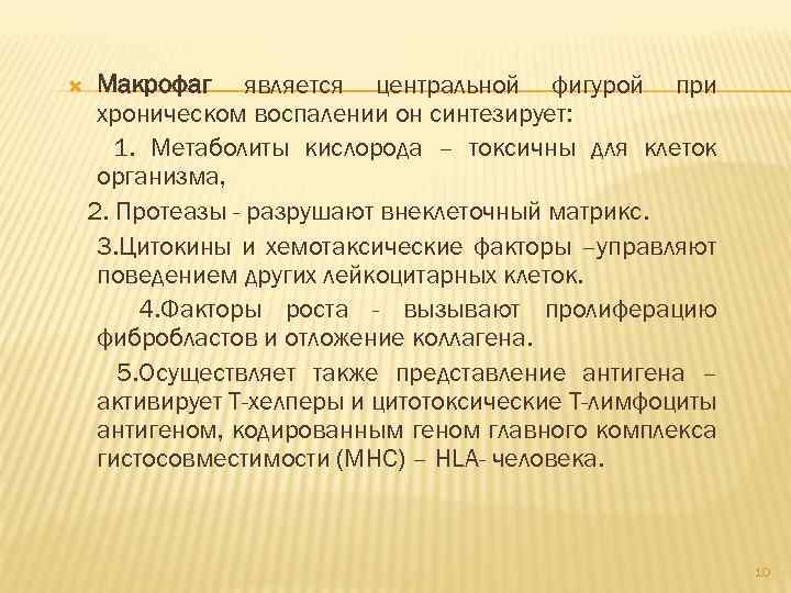  Макрофаг является центральной фигурой при хроническом воспалении он синтезирует: 1. Метаболиты кислорода –