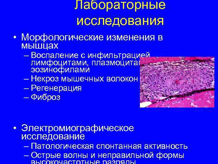 Морфологические изменения